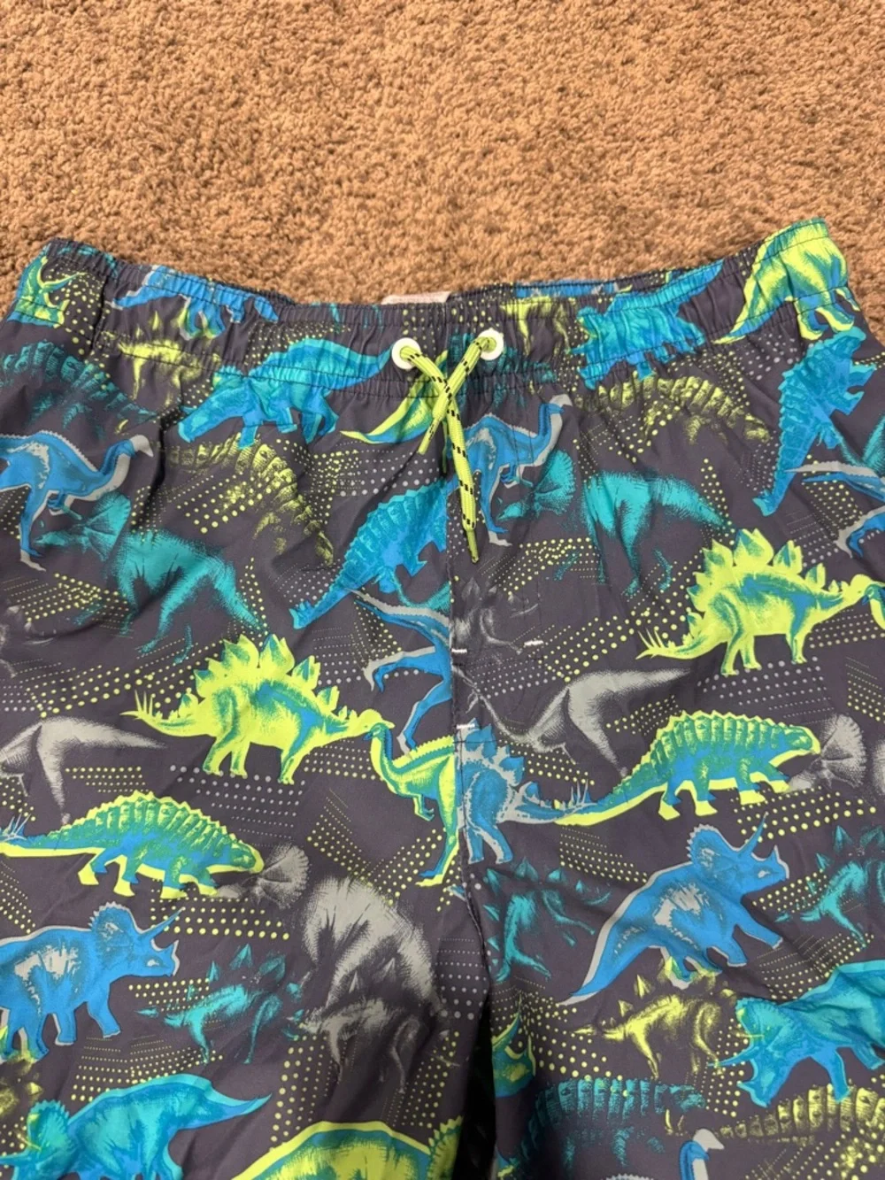 wonder nation Boys' Swim Trunks - Navy, Bright Blue & Neon Green Dino Print